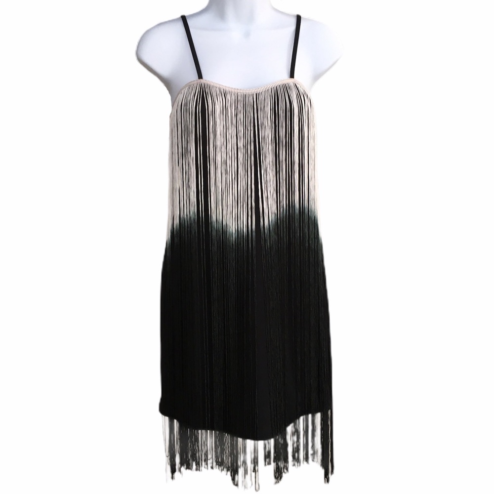 Flapper Fringe Ombré Mini Party Dress